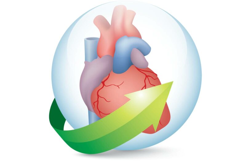 An illustration of a heart placed in a clear globe.